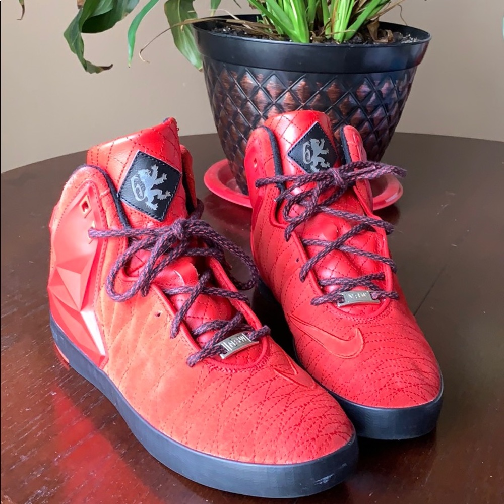 Nike- Lebron James NSW